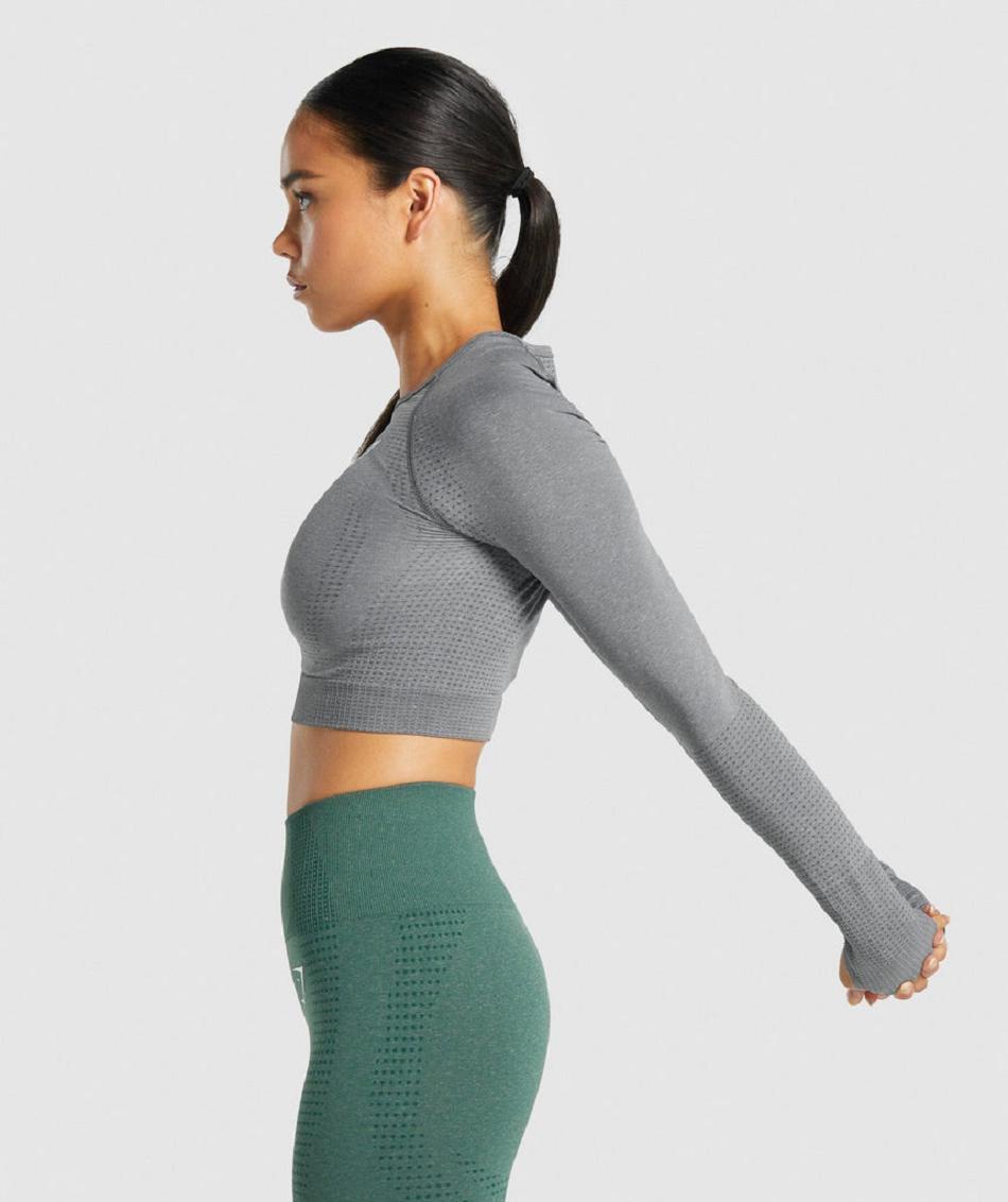 Corp Tops Gymshark Vital Seamless 2.0 Long Sleeve Mujer Gris | CO 2541ILH